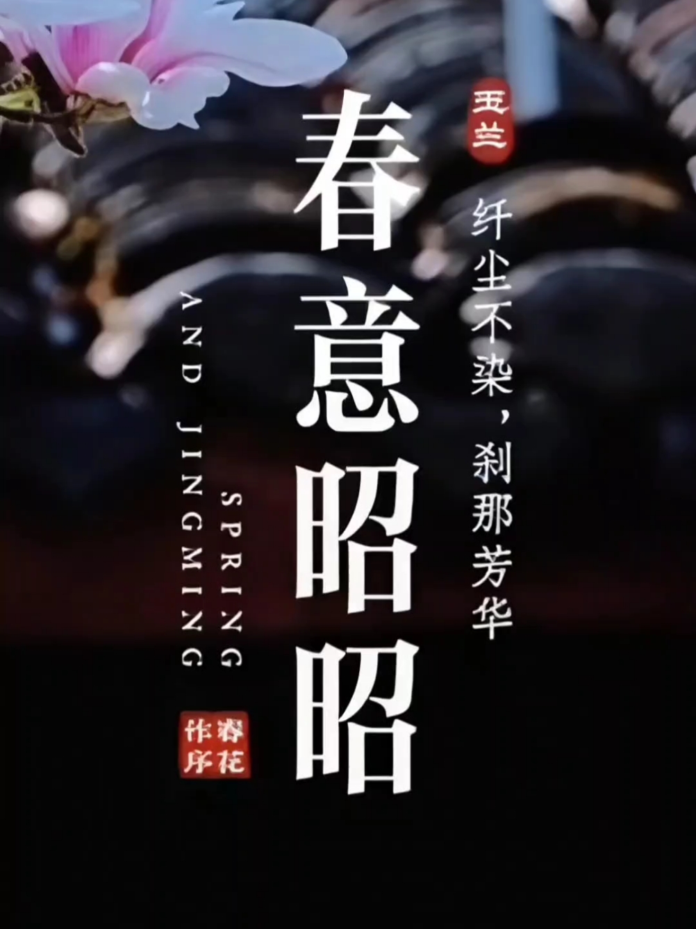 【你好春天】春意昭昭,爱摄影-荣耀俱乐部