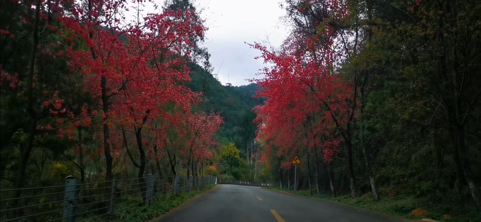 路上的风景,慢生活-荣耀俱乐部
