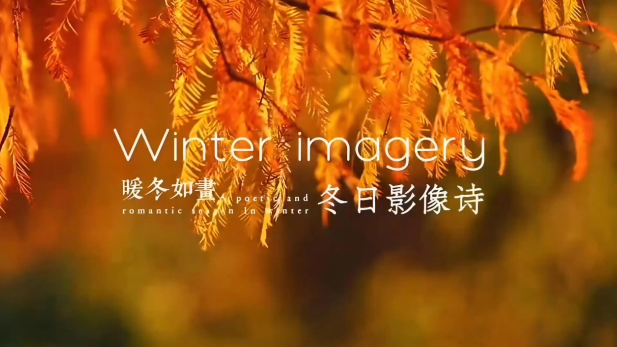 【你好冬天】暖冬如画,爱摄影-荣耀俱乐部
