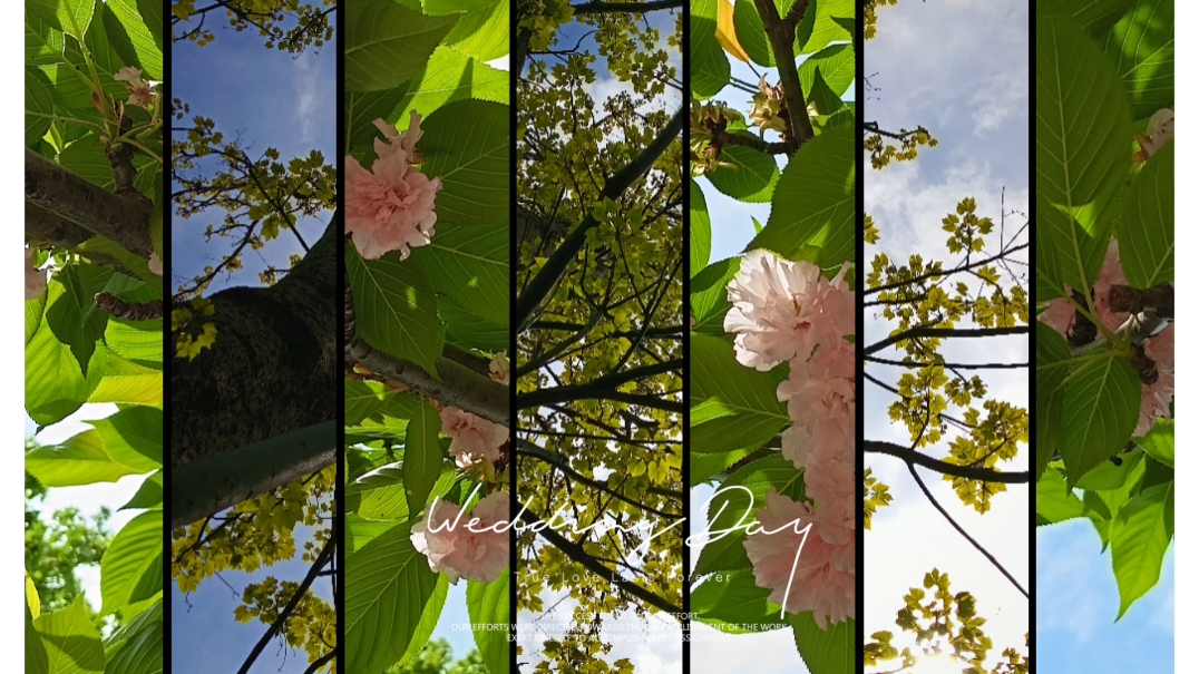 春日之美-荣耀X80i打卡春色！,荣耀X80i-荣耀俱乐部
