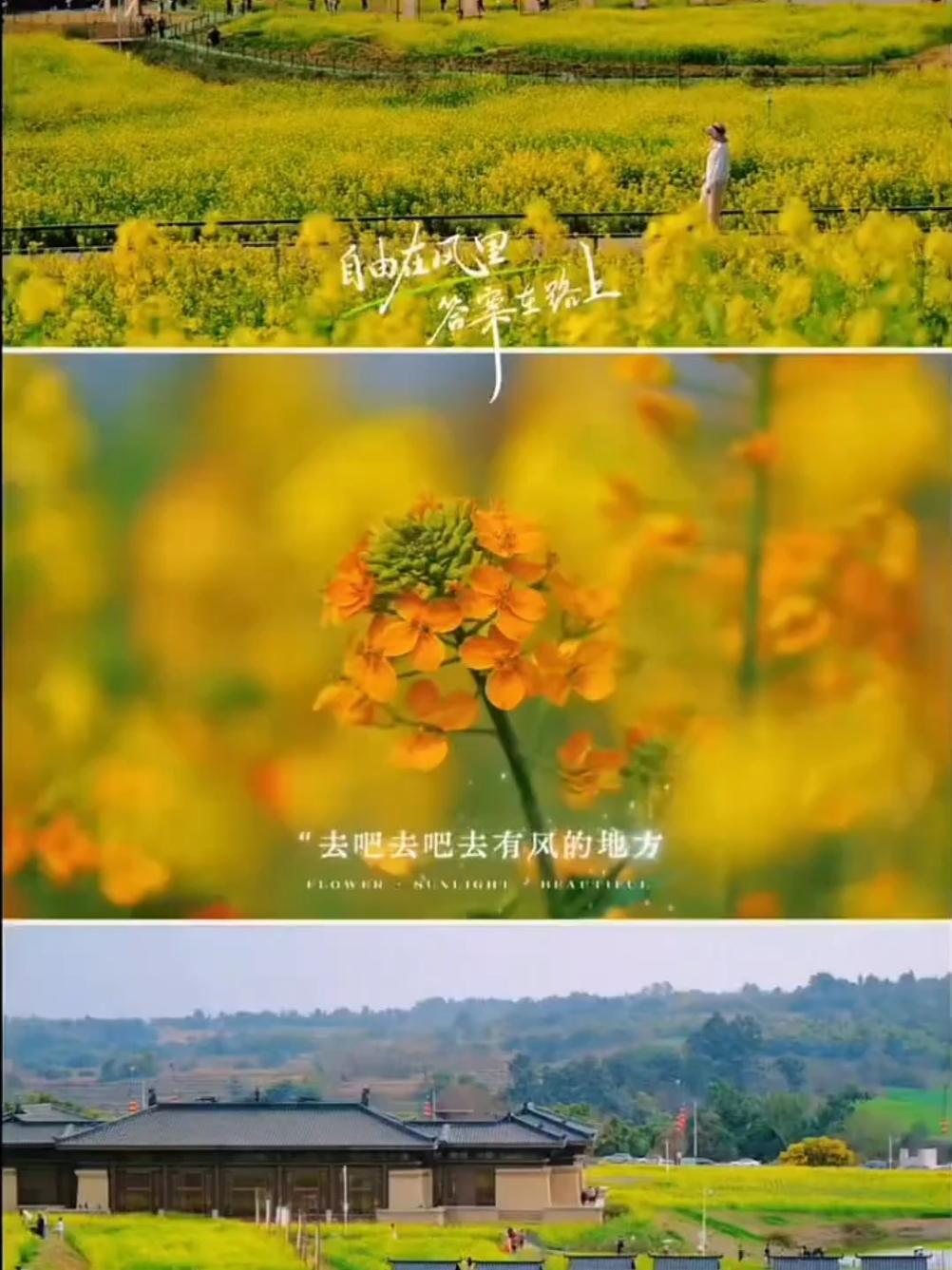 【你好春天】春天是美好的开始,爱摄影-荣耀俱乐部