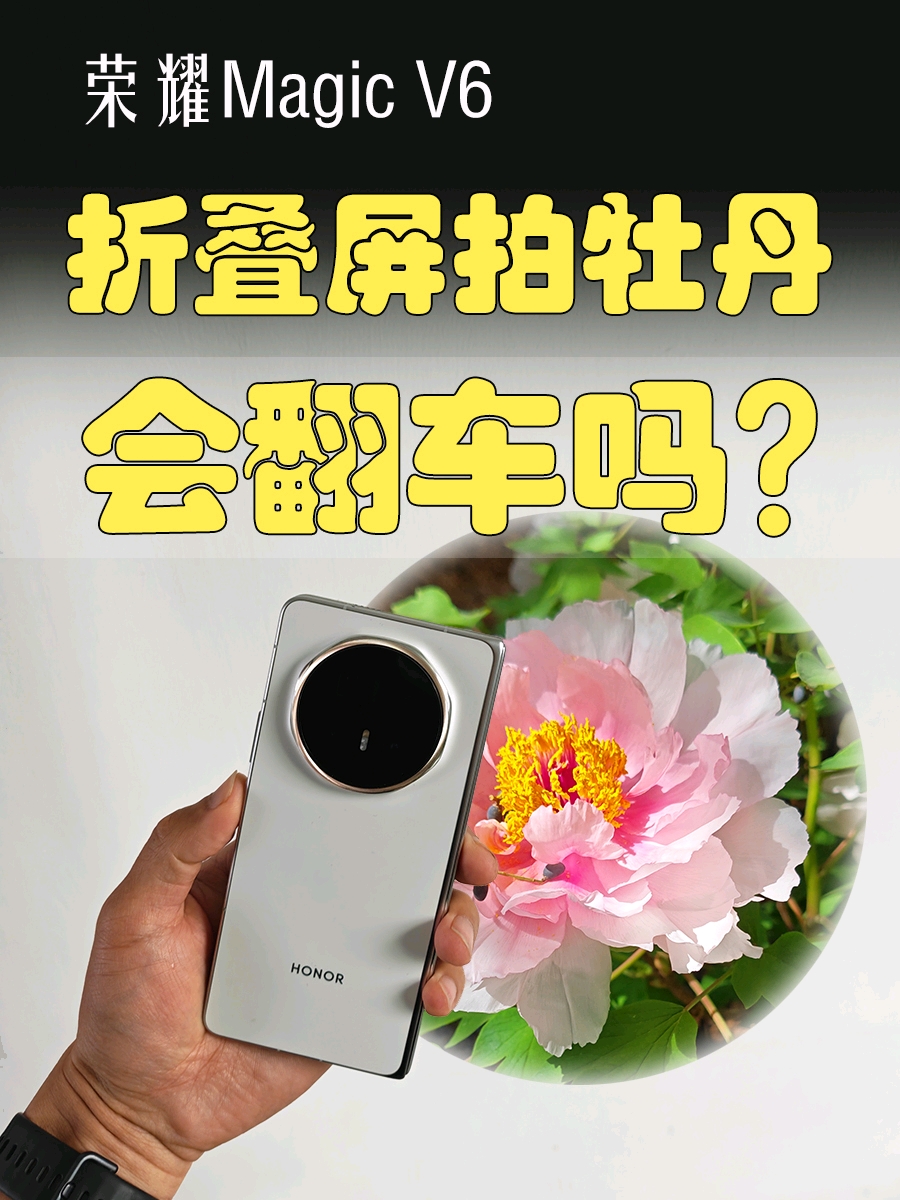 赏牡丹花用折叠屏拍照，靠谱不，拍的清楚不,荣耀Magic V6-荣耀俱乐部