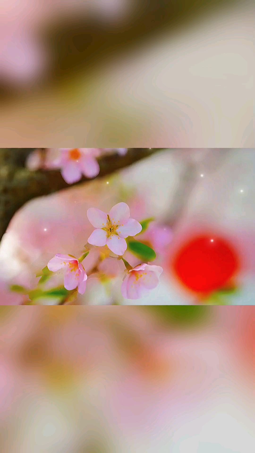 每一朵花开，都是生命里最美的遇见。,荣耀80系列-荣耀俱乐部