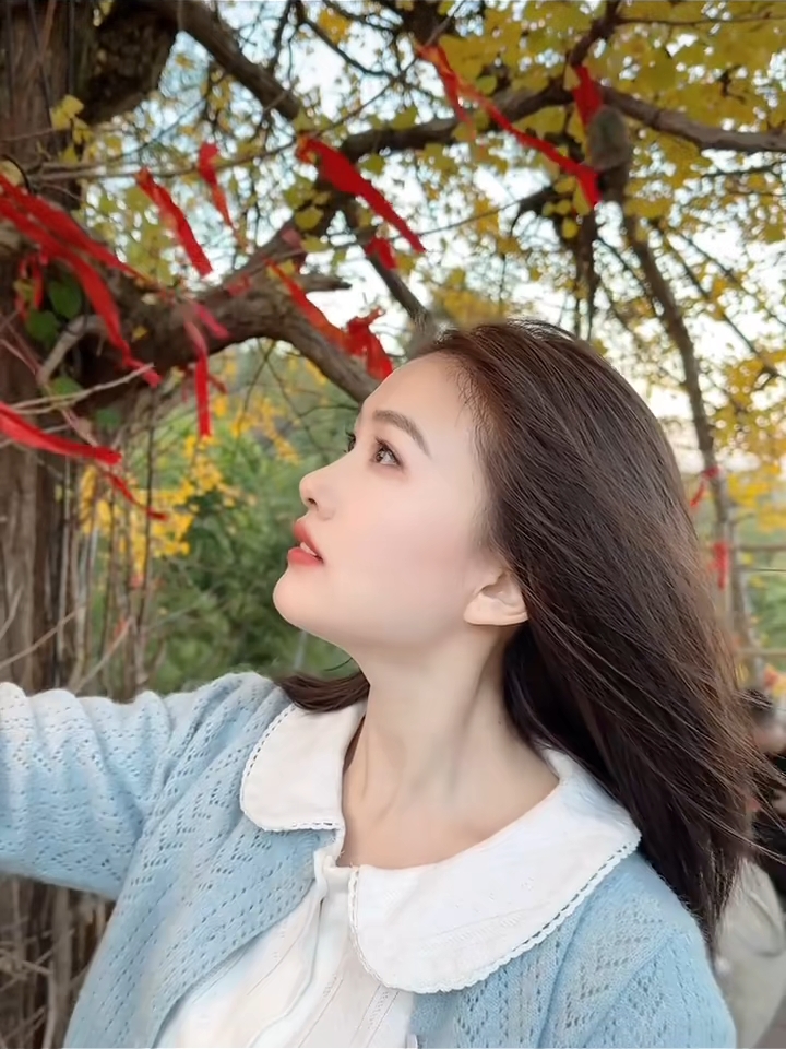 【荣耀Magic8】回头看 不曾走远,荣耀Magic8系列-荣耀俱乐部