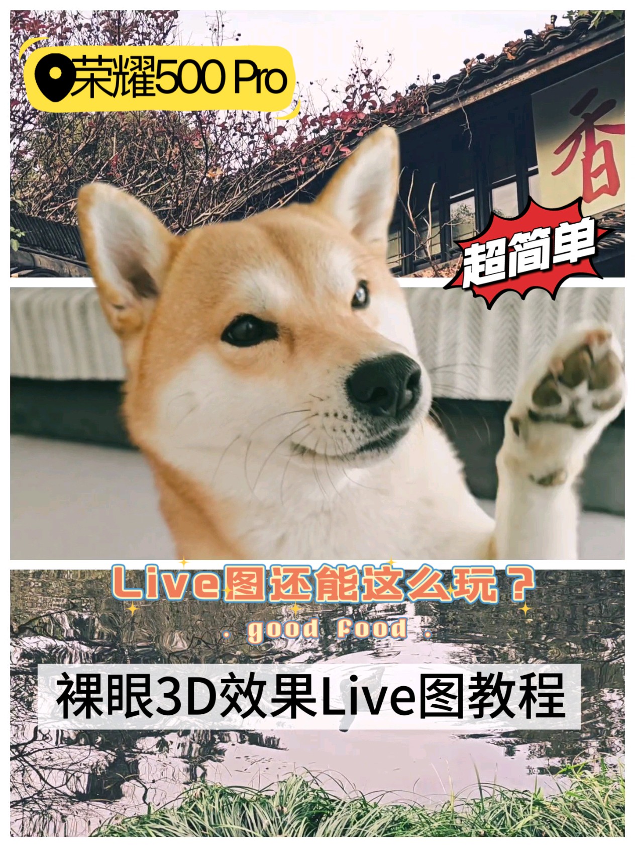 Live图还能这么玩？荣耀500 Pro破框而出Live图教程,荣耀500系列-荣耀俱乐部