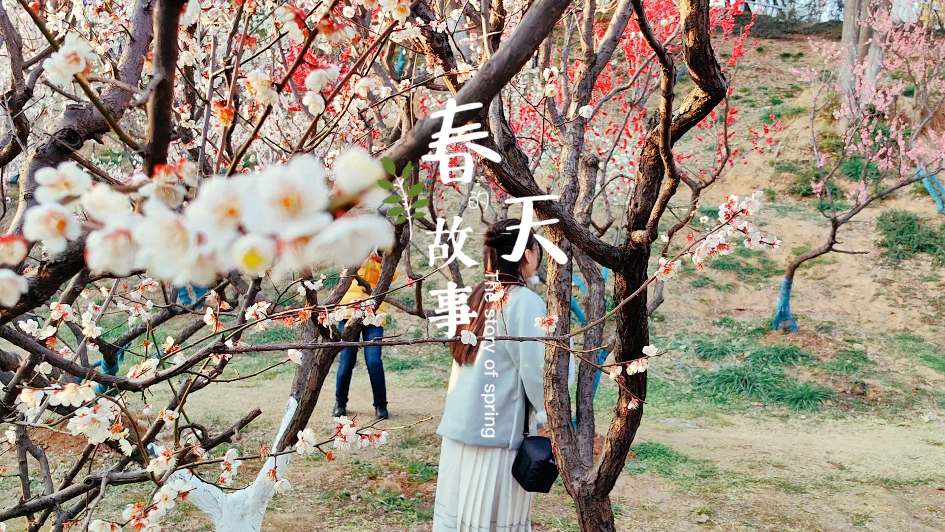 春天的故事,爱摄影-荣耀俱乐部
