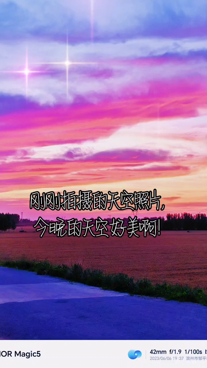 刚刚拍摄的天空照片，一只小鸟幸运的进入了我的镜头，还有淡淡的薄雾，今晚的天空好美,荣耀Magic5系列-荣耀俱乐部