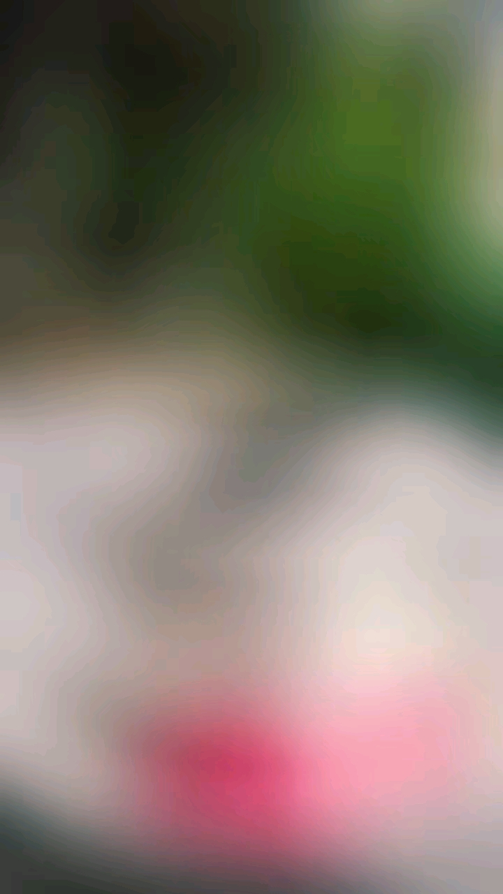悠闲的一天！,慢生活-荣耀俱乐部