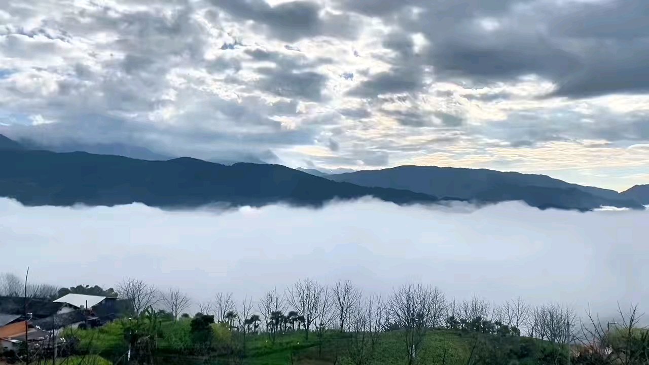 坐看风起云涌，静待花开花落,慢生活-荣耀俱乐部