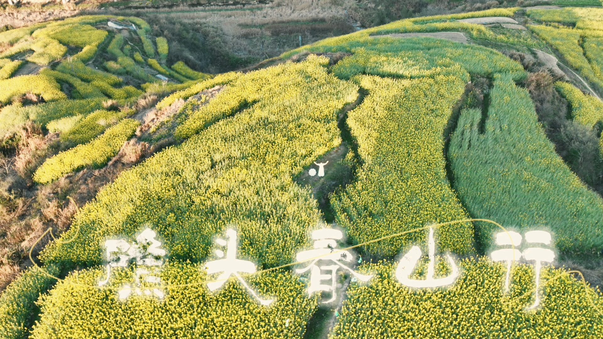 油菜花开了,其它机型-荣耀俱乐部