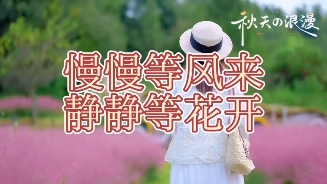【慢慢等风来】静静等花开,爱摄影-荣耀俱乐部