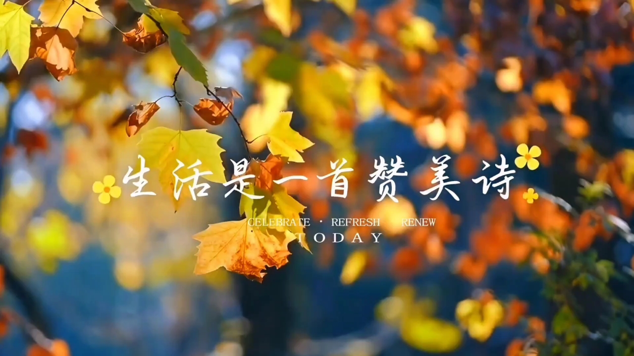 【你好冬天】生活是一首赞美诗,爱摄影-荣耀俱乐部
