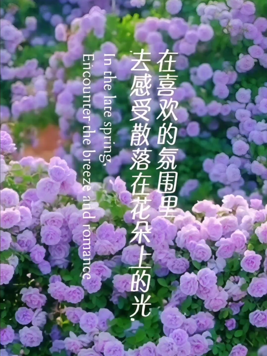 【你好春天】蓝色阴雨,爱摄影-荣耀俱乐部
