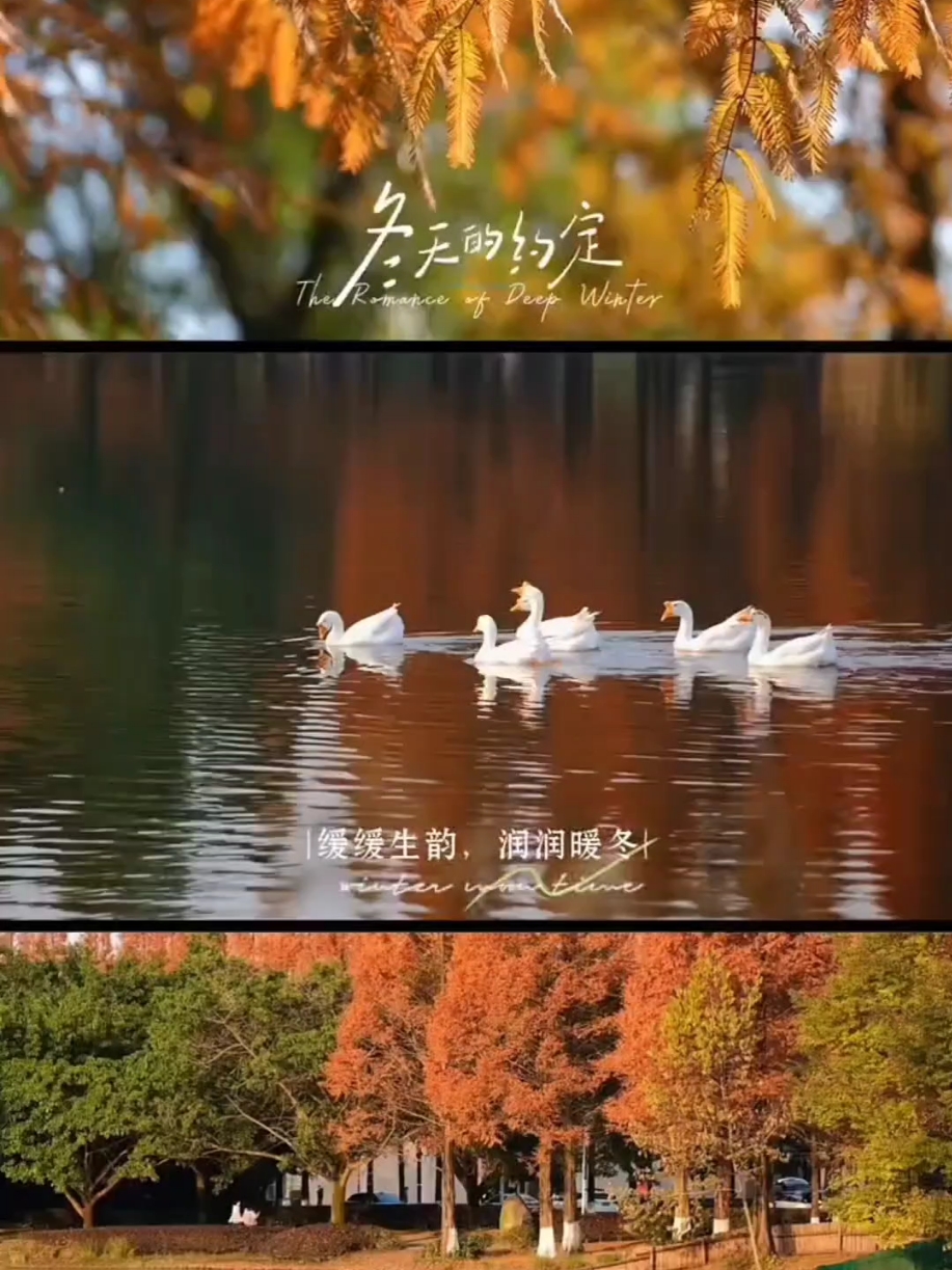 【你好冬天】冬日时光,爱摄影-荣耀俱乐部