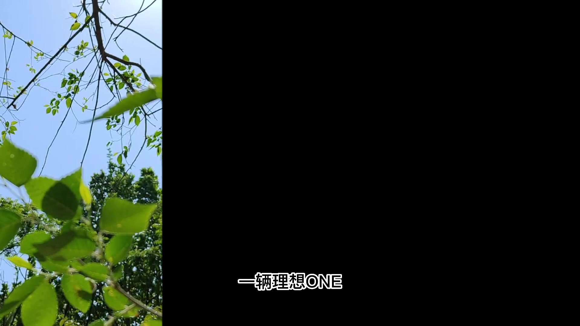 荣耀Magic4 Pro与理想One会碰撞出什么火花？一次旅行告诉你,爱旅行-荣耀俱乐部
