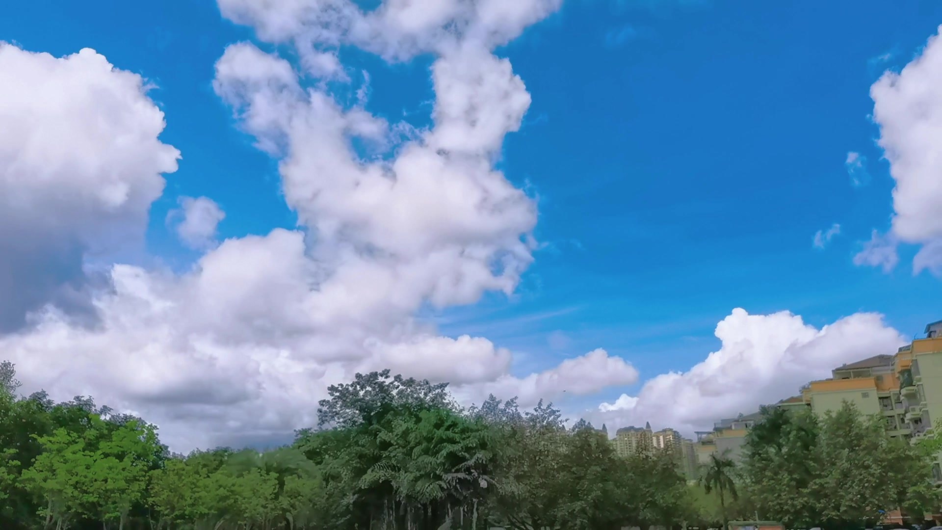 被天空治愈的一天,慢生活-荣耀俱乐部