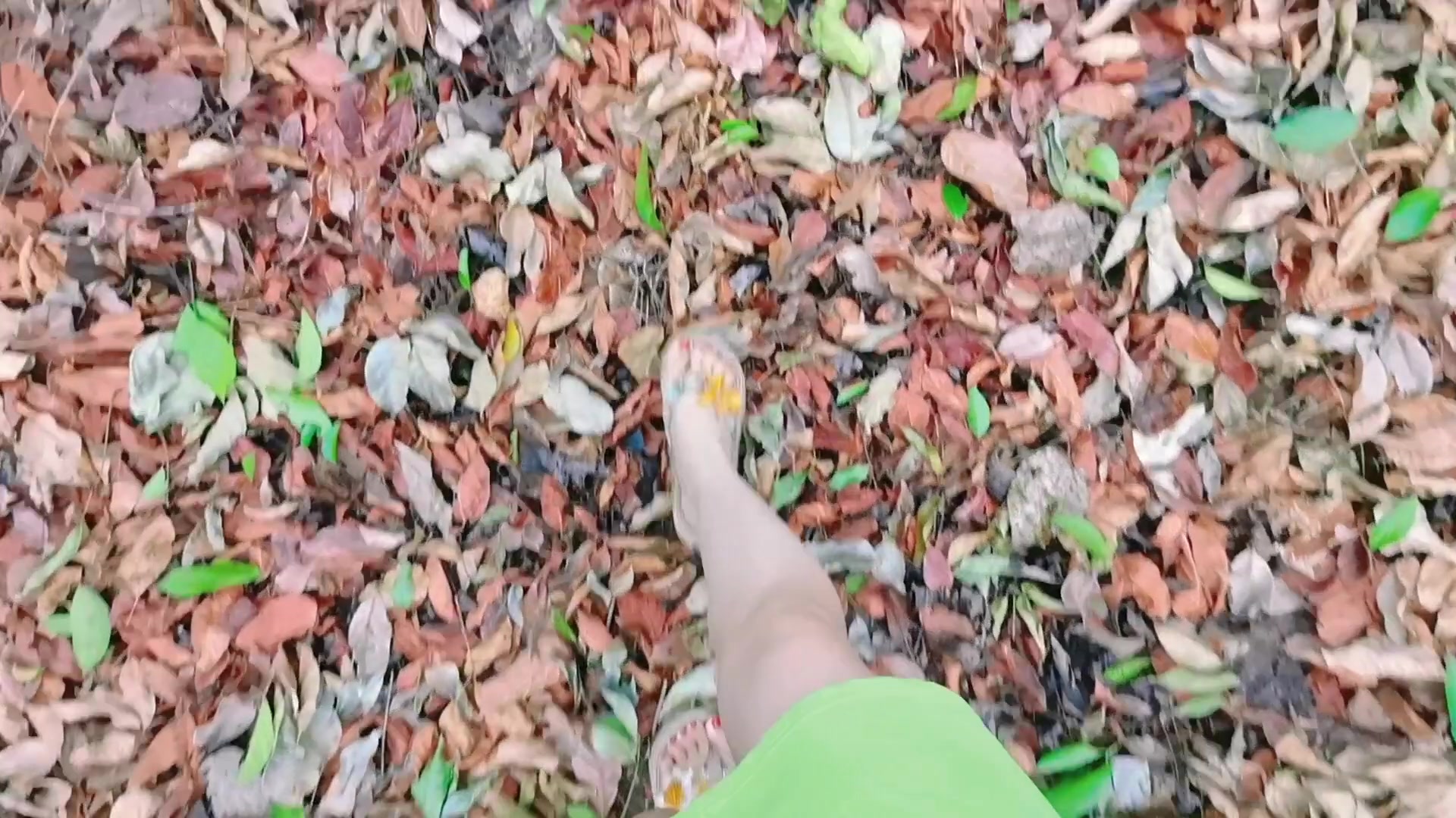 闪耀女生|秋意浓浓,爱摄影-荣耀俱乐部