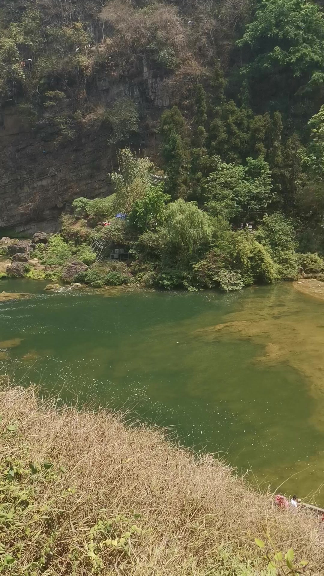风景无限好,荣耀80系列-荣耀俱乐部