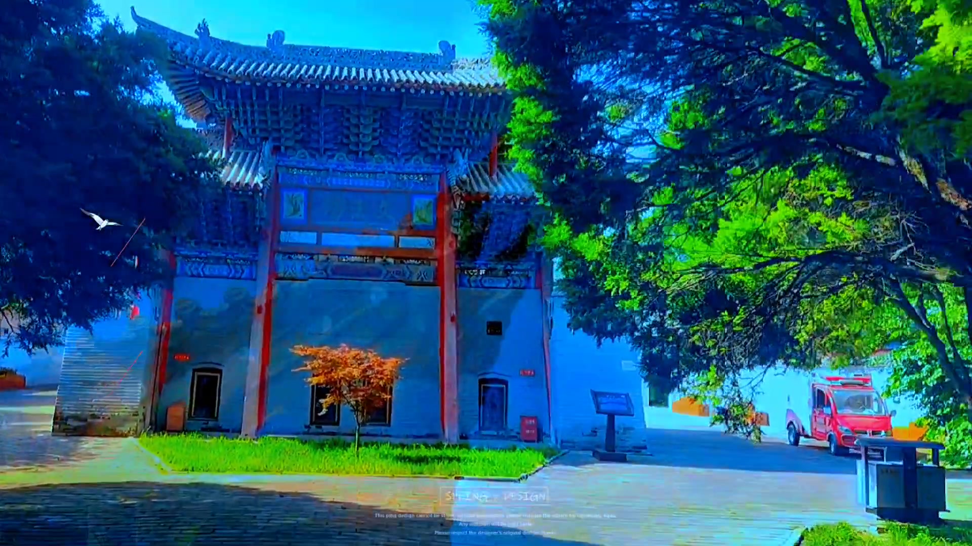 自由  安静  旅行才是我最想要的,荣耀50系列-荣耀俱乐部