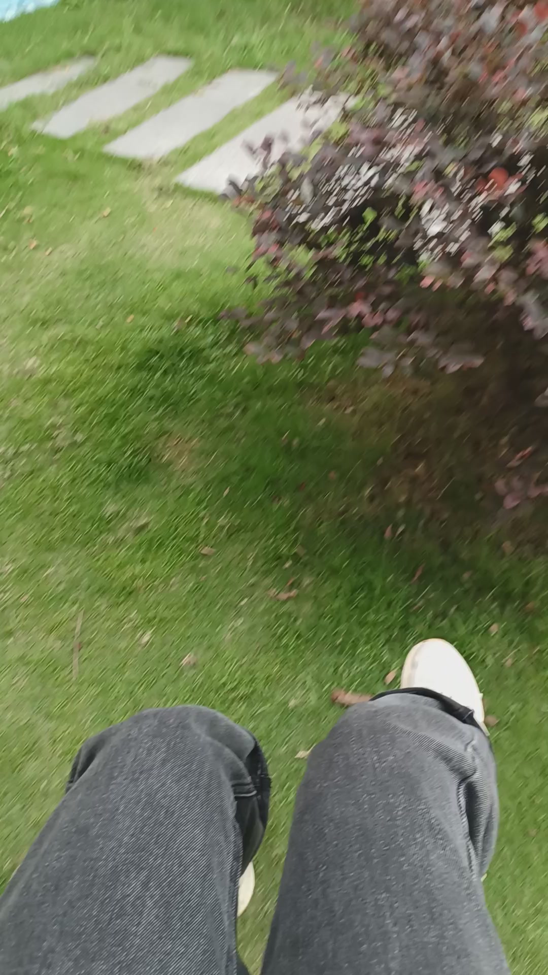 回家看看,荣耀X30系列-荣耀俱乐部
