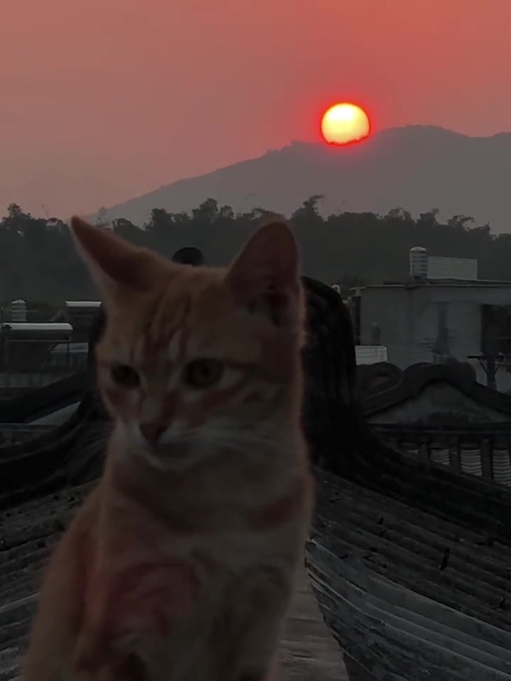 夕阳下,慢生活-荣耀俱乐部