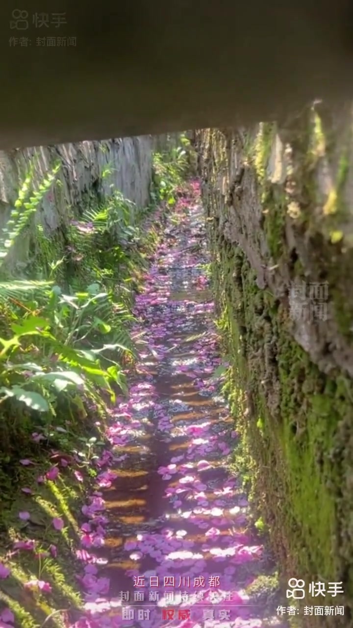 好看,荣耀X40系列-荣耀俱乐部