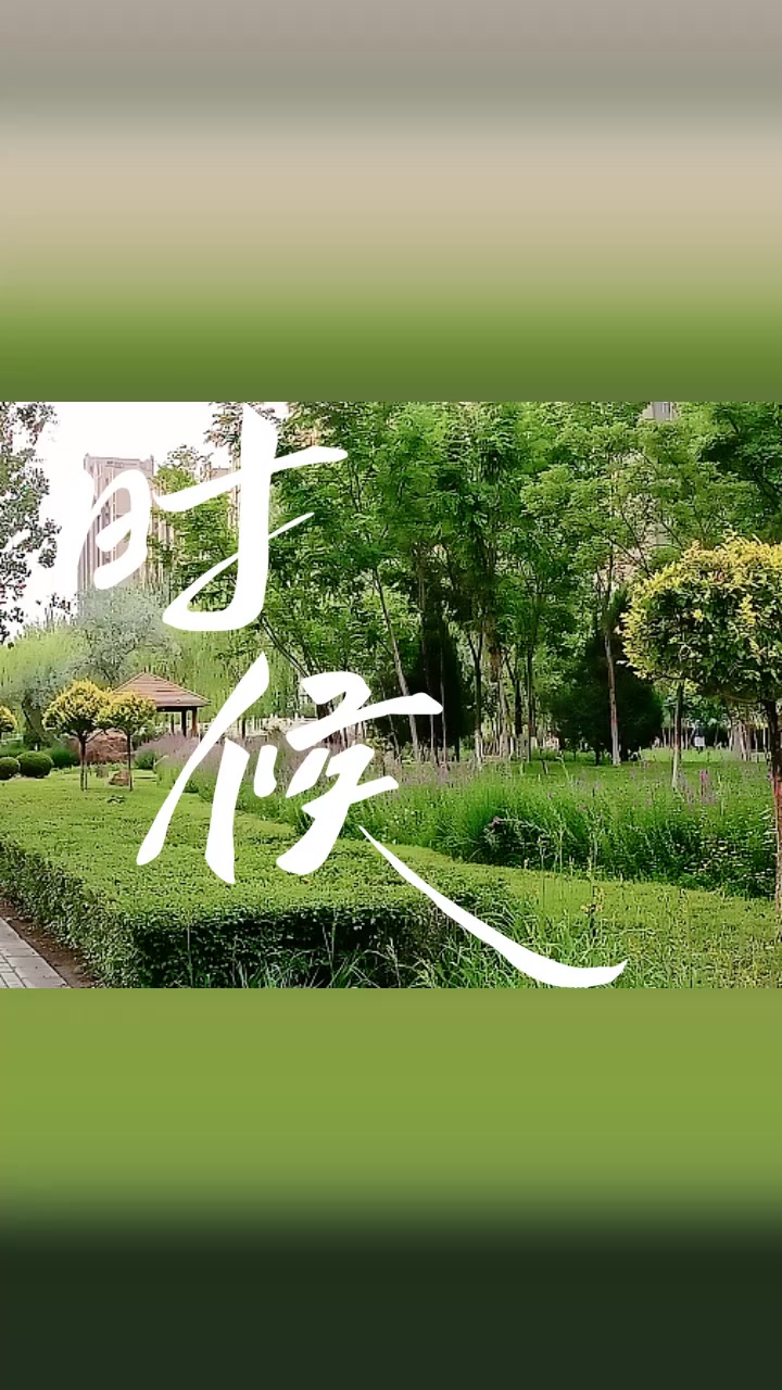 微缩版“紫雲峰”,MagicOS-荣耀俱乐部