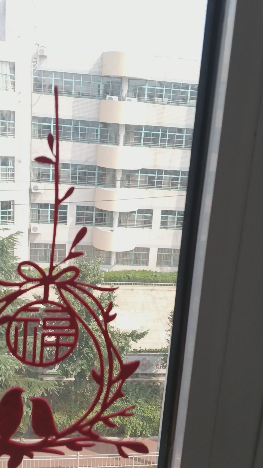 8月15日,山东-荣耀俱乐部