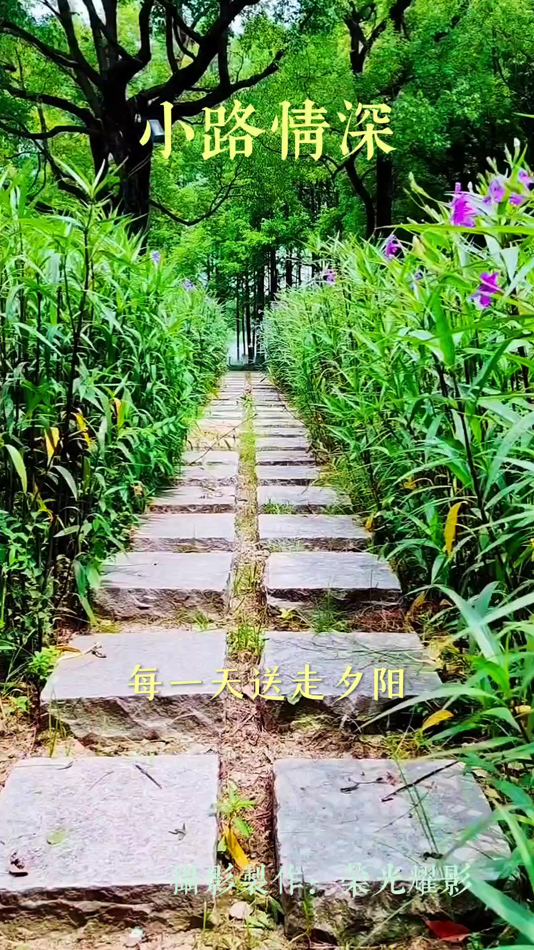 小径花儿陪我过,荣耀90系列-荣耀俱乐部