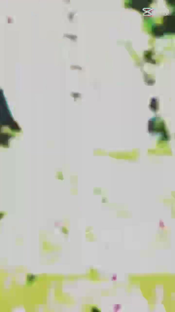 每日一拍,荣耀70系列-荣耀俱乐部