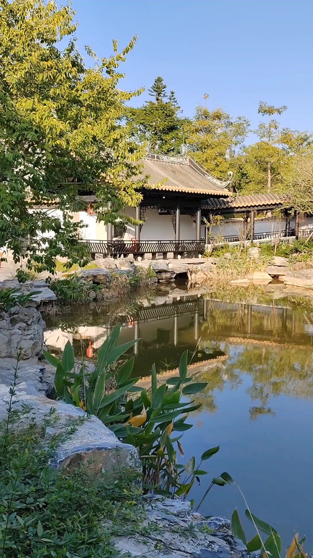 广州新文化馆,慢生活-荣耀俱乐部