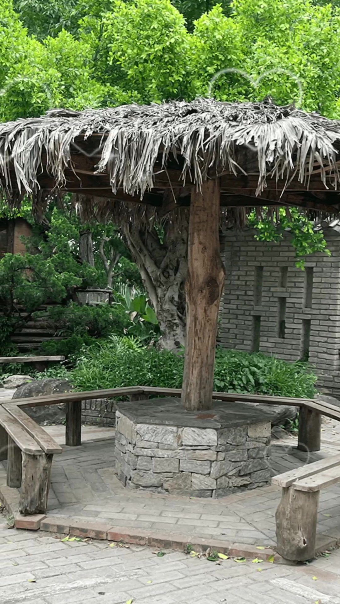 影像,慢生活-荣耀俱乐部