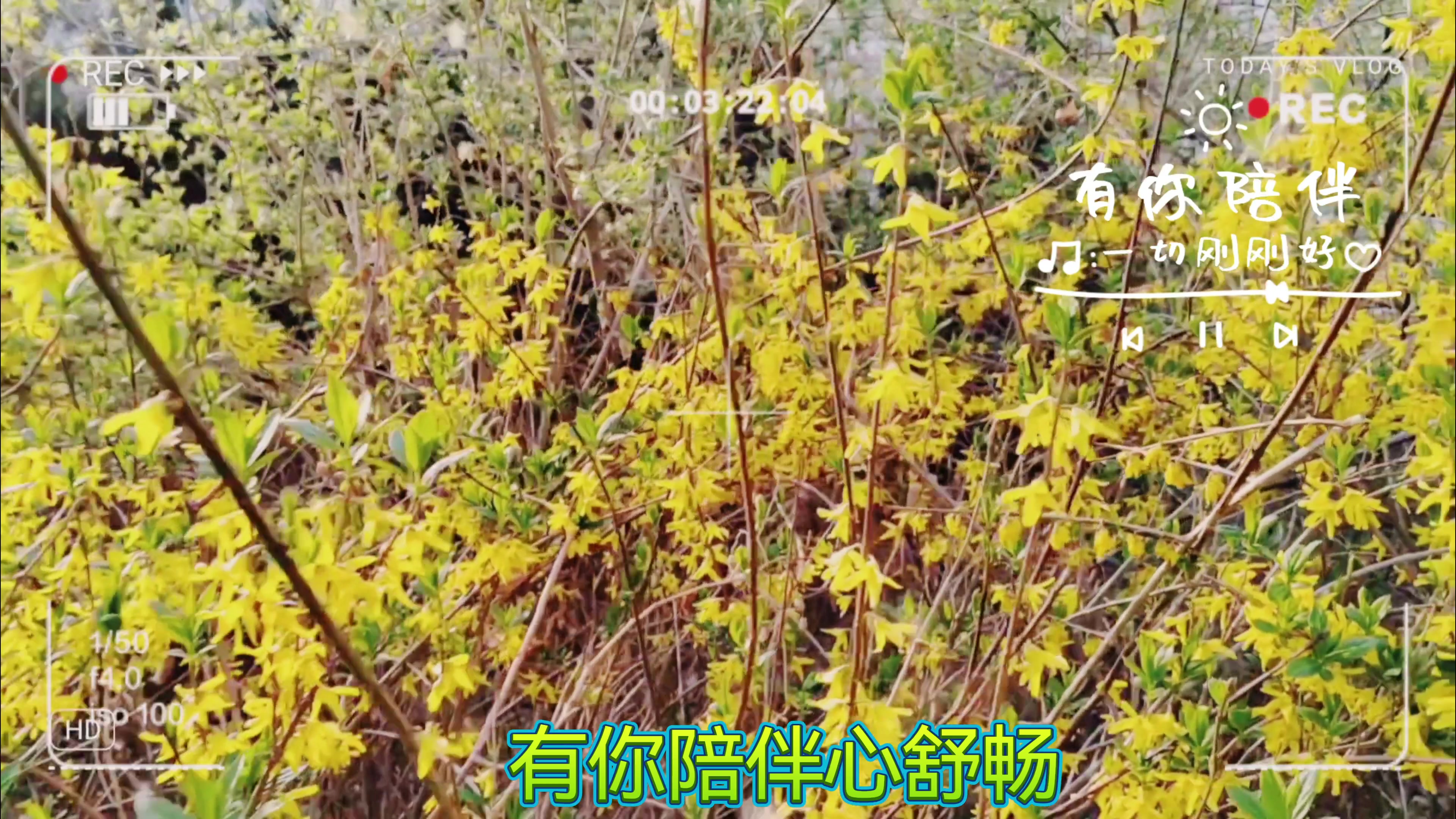 有你陪伴心舒畅,慢生活-荣耀俱乐部