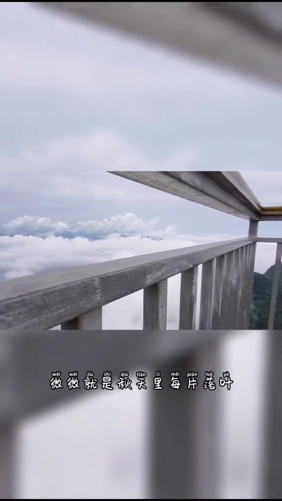 风景,荣耀90系列-荣耀俱乐部