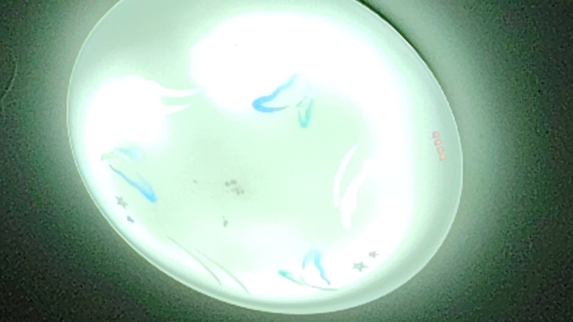 荣耀x50拍照,荣耀X50系列-荣耀俱乐部