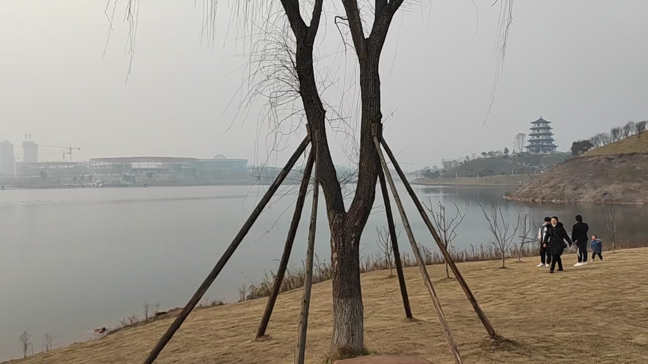 美了美了,荣耀60系列-荣耀俱乐部