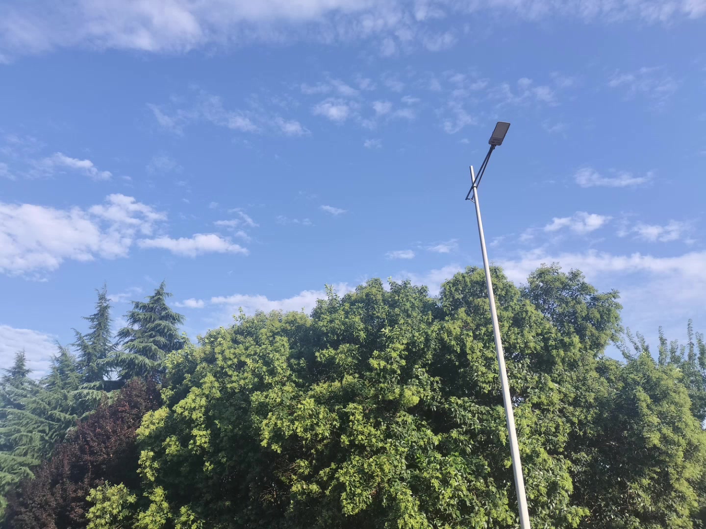 蓝天,慢生活-荣耀俱乐部
