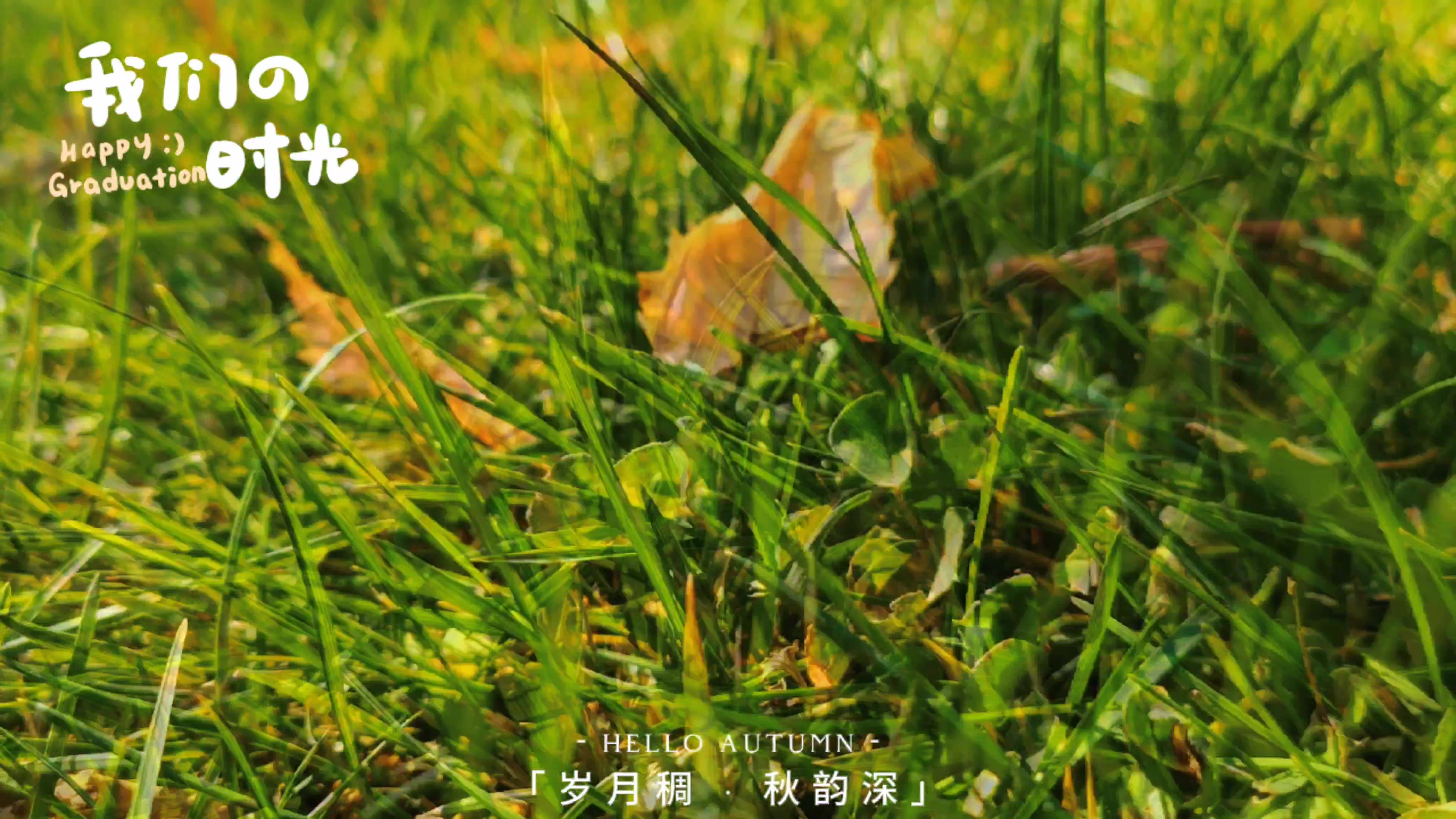 深秋,荣耀V Purse-荣耀俱乐部