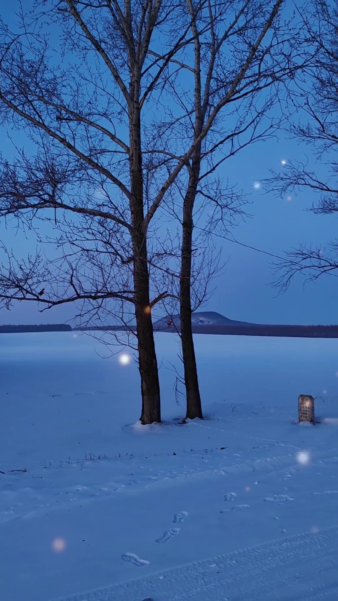 东北看的最后一场雪景,爱摄影-荣耀俱乐部