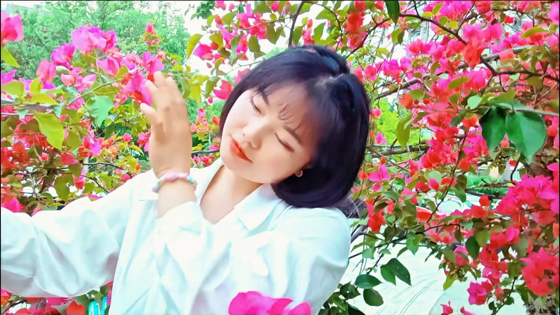 闪耀女生｜三角梅盛开,爱摄影-荣耀俱乐部