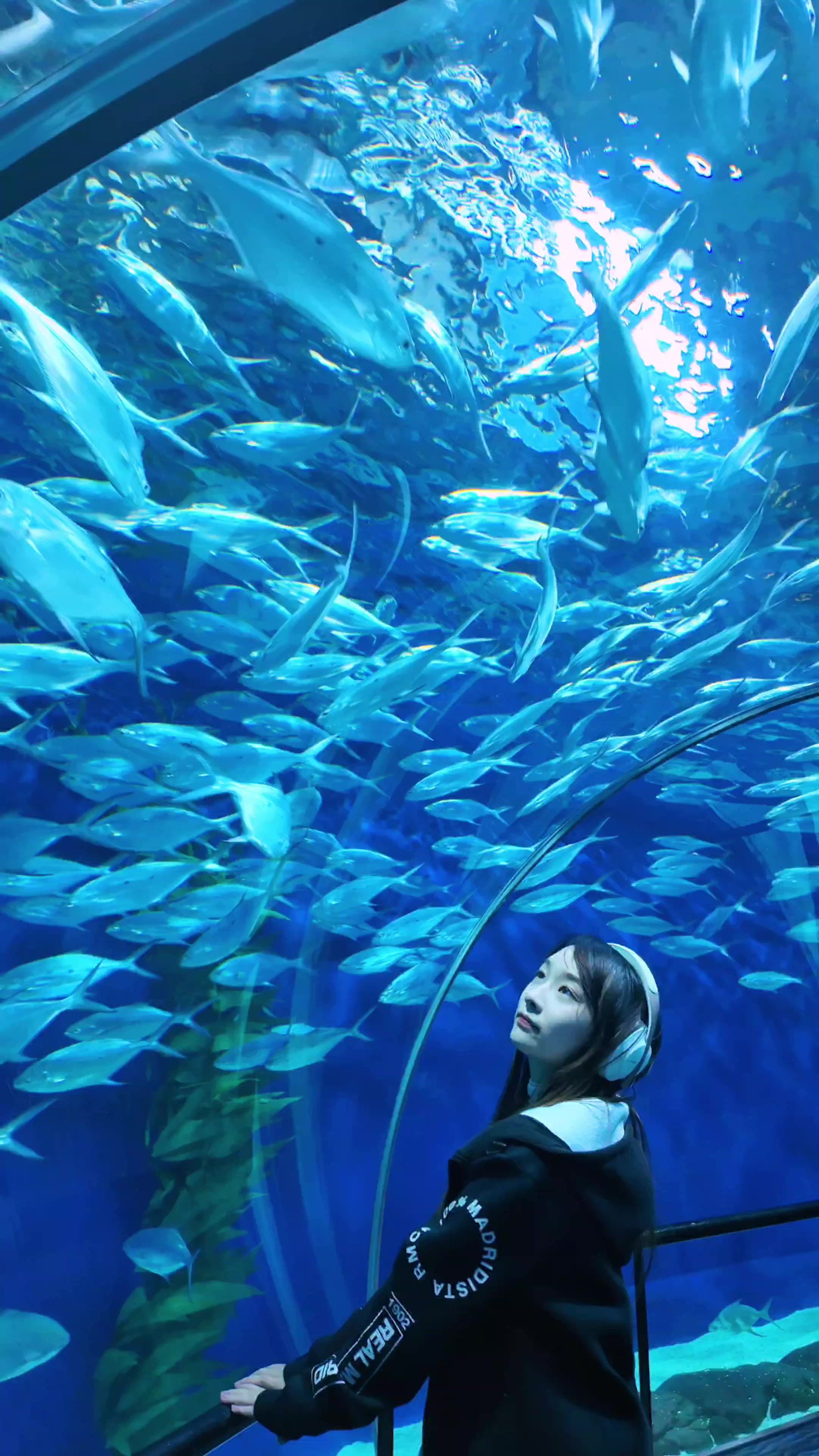 闪耀女生｜水族馆,爱摄影-荣耀俱乐部