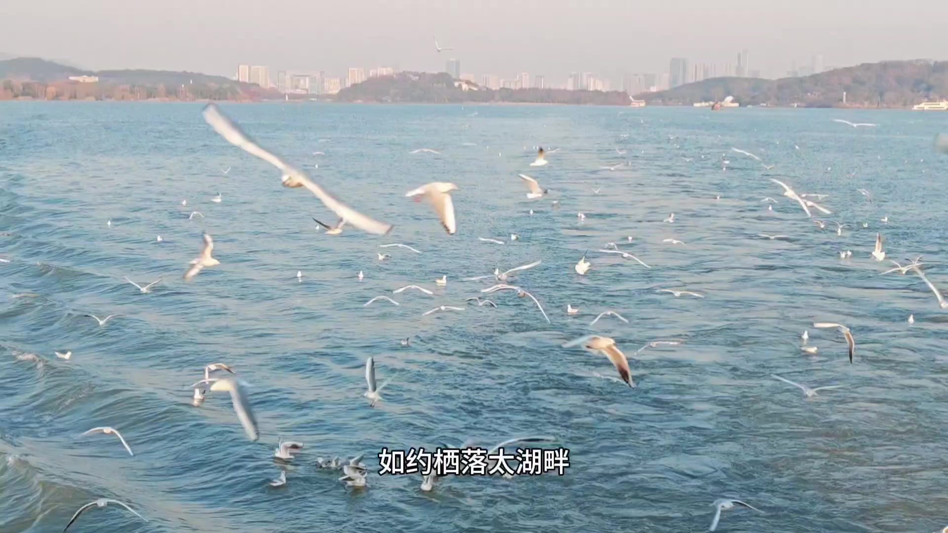 闪耀女生｜在鼋头渚，与红嘴鸥赴一场冬日之约,爱摄影-荣耀俱乐部