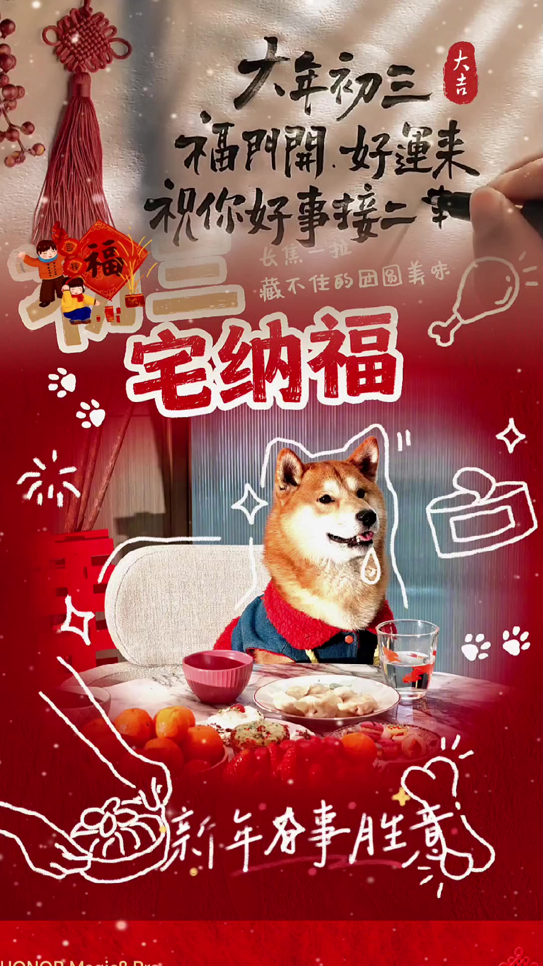 大年初三聚福宅家！祈平安，宅纳福。#荣耀Magic8# Pro长焦捕捉小狗偷吃瞬间，精准定格每一处萌趣。,荣耀Magic8系列-荣耀俱乐部