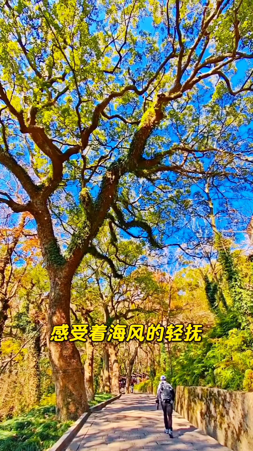 踏上这片神圣的土地，感受着海风的轻抚，欣赏着精美的雕像…,爱摄影-荣耀俱乐部