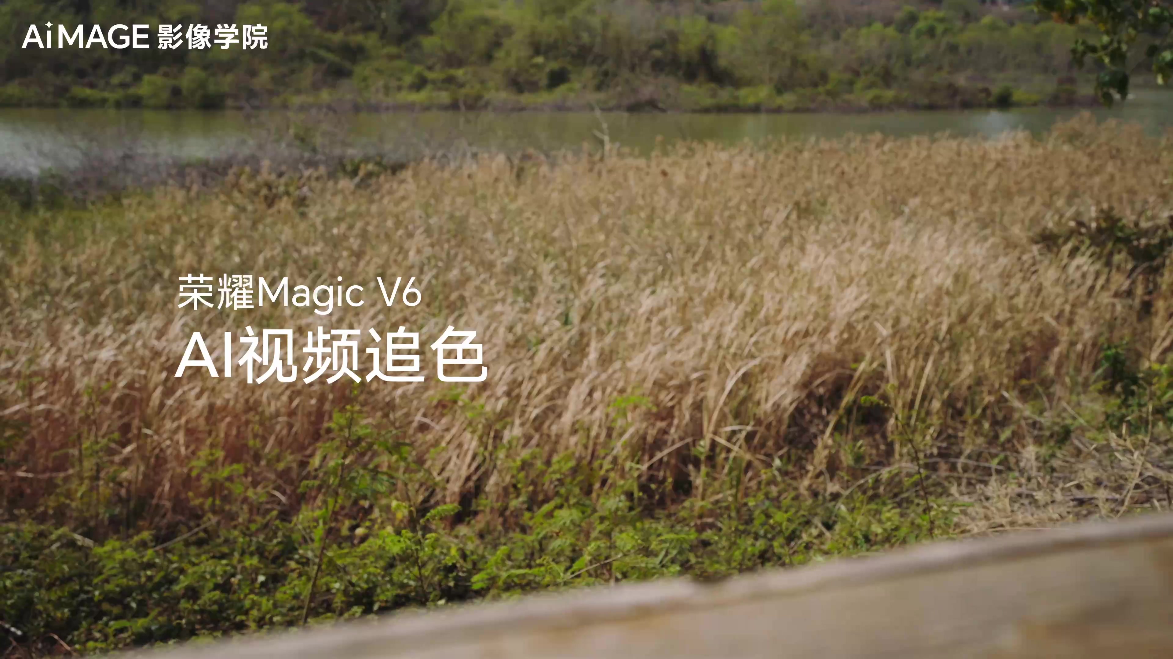 一键给视频电影色彩,荣耀Magic V6-荣耀俱乐部
