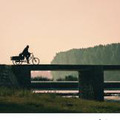 抱明月渺沧海